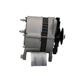 BV PSH 575.571.098.018 Lichtmaschine RENAULT THALIA 2 (LU1/2) 1.6 95 PS Otto