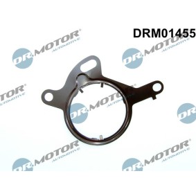 DR.MOTOR AUTOMOTIVE DRM01455 Bomba de vacío del sistema de frenado FORD S-MAX