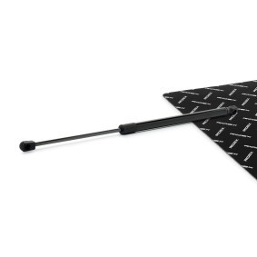 RIDEX 219G1226 Vérin de coffre PEUGEOT 206+ 3/5 portes (2L, 2M)