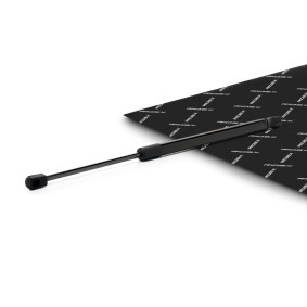 RIDEX 219G1234 Bagklapsdæmper RENAULT MEGANE