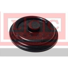 LCC LCCM02018 Válvula PCV FORD