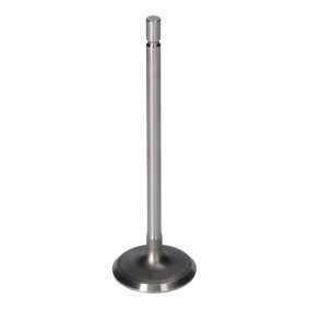 FEBI BILSTEIN 181077 Válvula de admissão RENAULT WIND