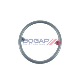 BOGAP A4227105 Guarnizione radiatore olio SKODA Fabia 2 (545) 1.4 70 CV Diesel
