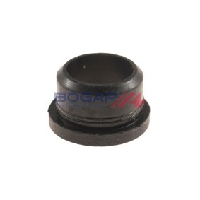 BOGAP P5521100 Wischwasserbehälter RENAULT Symbol