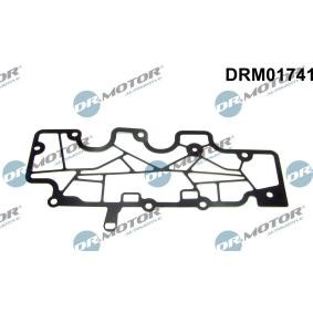 DR.MOTOR AUTOMOTIVE DRM01741 Junta, respiro do cárter da cambota RENAULT SCÉNIC