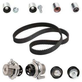 RIDEX 3096W0544 VW TOURAN (1T1, 1T2) Vesipumppu + jakohihnasarja