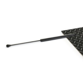 RIDEX 219G1259 Vérin de coffre PEUGEOT 206 3/5 portes (2A/C)