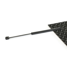 Heckklappendämpfer 219G1270 für FORD