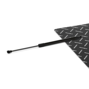 Heckklappendämpfer von RIDEX günstig für 14,71&nbsp;&euro;