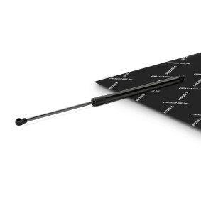 RIDEX 219G1284 Gasfjäder till baklucka BMW 3-serie