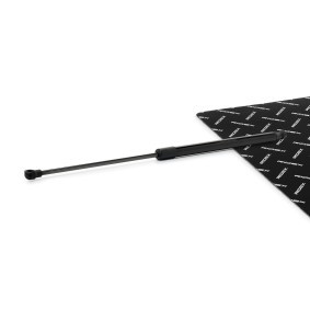 RIDEX 219G1286 Vérin de coffre PEUGEOT 206+ 3/5 portes (2L, 2M)