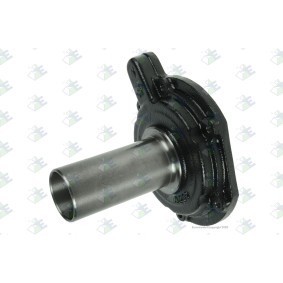 Euroricambi 60531804 Manicotto d'innesto MERCEDES-BENZ