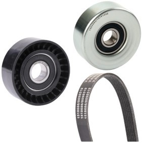 RIDEX 542R1125 Kileribberemsett PEUGEOT 208