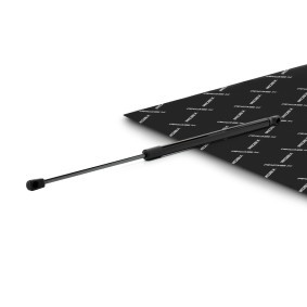 RIDEX 219G1309 Coffre à bagages FORD FIESTA