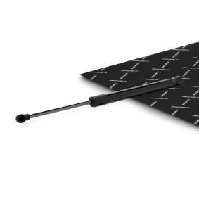 RIDEX 219G1314 Coffre à bagages BMW 1 5 portes (E87)