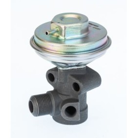 WAHLER 711029D Valvola EGR NISSAN PRIMERA Traveller (WP11)