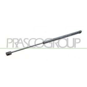 PRASCO RN0239055 Maletero RENAULT CLIO 1 (B/C57, 5/357)