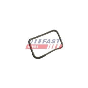 FAST FT58302 Kjølevannstetning PEUGEOT 4008