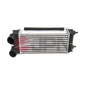 JPN 60C9286-JPN Ladeluftkühler FORD KA