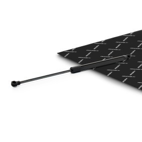 RIDEX 219G1332 Bagklapsdæmper RENAULT CLIO