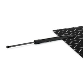 Osta Kaasujousi, tavaratila RIDEX:llä 219G1344 edullisesti hintaan 13,35&nbsp;&euro;