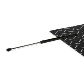 RIDEX 219G1350 Coffre à bagages FORD FIESTA 4 (JA, JB)