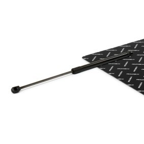 RIDEX 219G1357 Pistoncini portellone OPEL ASTRA