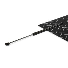 RIDEX 219G1365 Mala FORD S-MAX