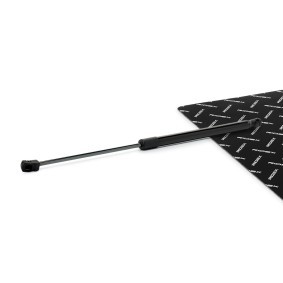 RIDEX 219G1381 NISSAN MICRA Takaluukun kaasujousi