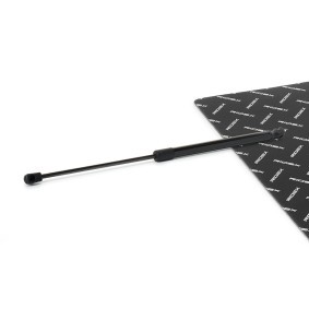 RIDEX 219G1387 Bagagliaio AUDI A3 Hatchback (8L1)