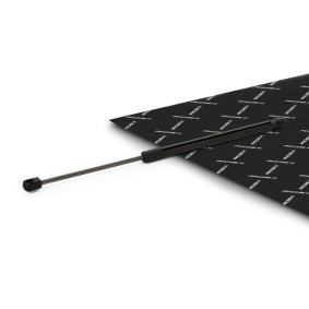 RIDEX 219G1391 Pistoncini portellone OPEL ASTRA