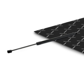 RIDEX 219G1394 Heckklappendämpfer MAZDA 6 Station Wagon (GY)