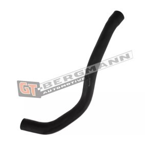 GT-BERGMANN GT52-306 Tubo do intercooler NISSAN INTERSTAR Camião de plataforma/chassis