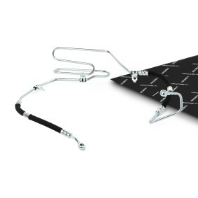 RIDEX 677H0085 Tubo idroguida AUDI TT