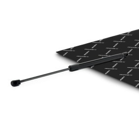 RIDEX 219G1418 Pistoncini portellone OPEL ASTRA