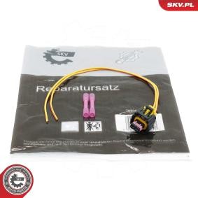 ESEN SKV 53SKV132 Kit revisione iniettori FIAT QUBO