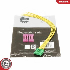 ESEN SKV 53SKV135 Componenti luce posteriore CITROËN DS4