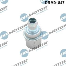 DR.MOTOR AUTOMOTIVE DRM01847 Válvula PCV FORD