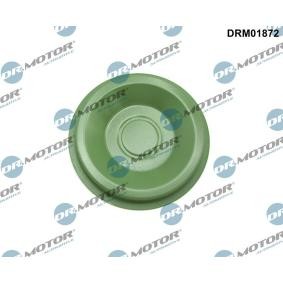 DR.MOTOR AUTOMOTIVE DRM01872 Tampa de flange, caixa de velocidades manual SKODA