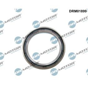DR.MOTOR AUTOMOTIVE DRM01899 Kurbelwellensimmering RENAULT Megane 3 Schrägheck (BZ0/1_) 1.2 116 PS Otto