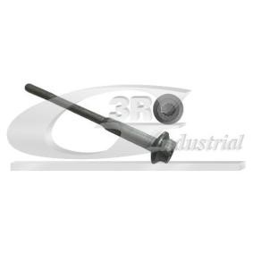 3RG 99703 Wärmeschutzscheibe, Einspritzanlage VW PHAETON