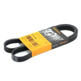 CONTITECH 5PK1145 Correia do alternador ROVER