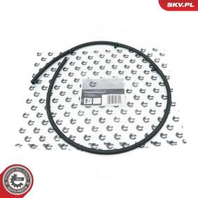 Leckkraftstoff-Schlauch 54SKV319