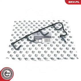 ESEN SKV 54SKV333 Schlauch, Leckkraftstoff RENAULT Megane 3 Schrägheck (BZ0/1_)