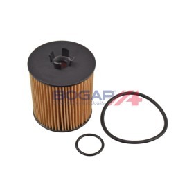Acquista Filtro olio da BOGAP C8113130 a buon mercato per soli 7,78&nbsp;&euro;