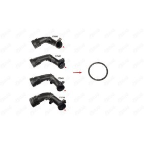 IBRAS 17542 Anello tenuta, tubo aria alimentazione MITSUBISHI