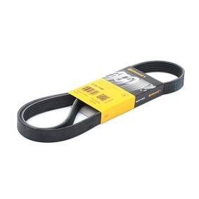 CONTITECH 6PK1180 Correia do alternador ROVER