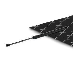 Compre Amortecedor da mala da RIDEX 219G1479 a um preço baixo por 17,55&nbsp;&euro;