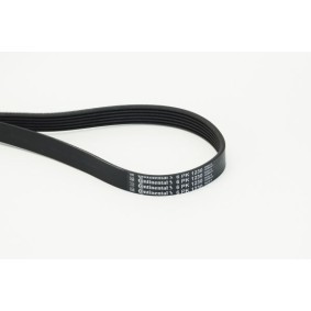 CONTITECH 6PK1230 Keilrippenriemen VOLVO XC60 II (246) 2.0 334 PS Hybrid