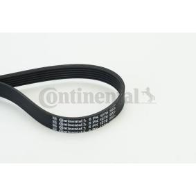 Compre Correia trapezoidal estriada da CONTITECH 6PK1270 a um preço baixo por 14,62&nbsp;&euro;
